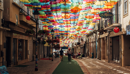 ricardo-resende-O87fPf3-URw-unsplash_2