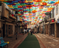ricardo-resende-O87fPf3-URw-unsplash_2